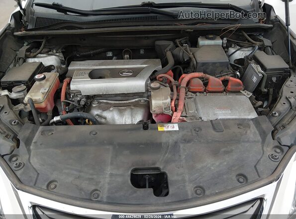 JTJBJRBZXH2072441 2017 LEXUS NX 300H Белый Вид сзади