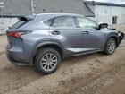 2020 Lexus Nx 300 Gray vin: JTJDARDZ0L2231515