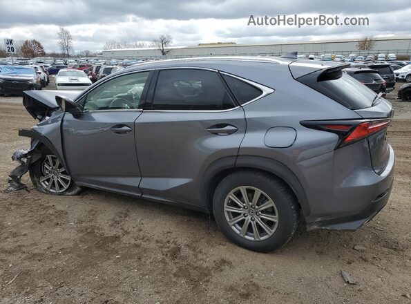 JTJDARDZ0L2231515 2020 LEXUS NX Gray უკანა მარცხენა