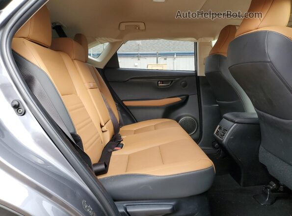 JTJDARDZ0L2231515 2020 LEXUS NX Gray უკანა სალონის ხედი