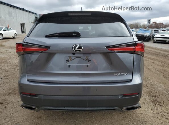 JTJDARDZ0L2231515 2020 LEXUS NX Gray უკანა ხედი