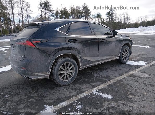 JTJDARDZ0M2242418 2021 LEXUS NX 300 Черный Задняя правая четверть