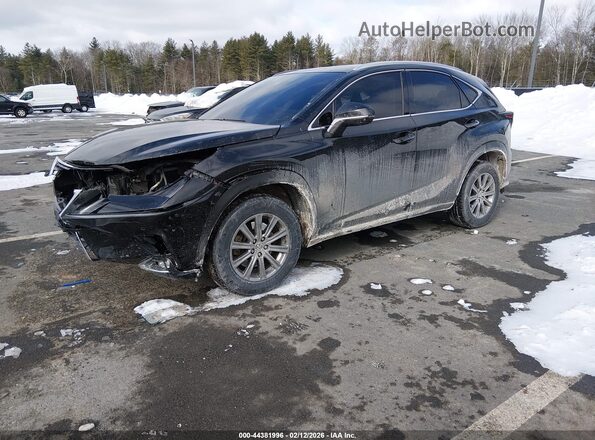 JTJDARDZ0M2242418 2021 LEXUS NX 300 Черный Передняя левая четверть