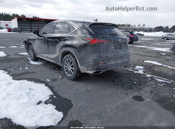 JTJDARDZ0M2242418 2021 LEXUS NX 300 Черный Задняя левая четверть
