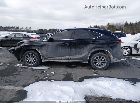 JTJDARDZ0M2242418 2021 LEXUS NX 300 Черный Панорамный вид салона 360°
