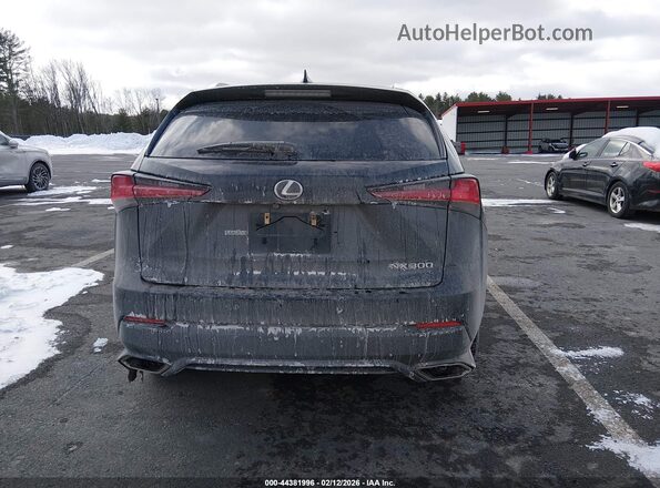 JTJDARDZ0M2242418 2021 LEXUS NX 300 Черный 