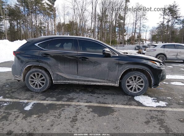 JTJDARDZ0M2242418 2021 LEXUS NX 300 Черный Вид задней части салона