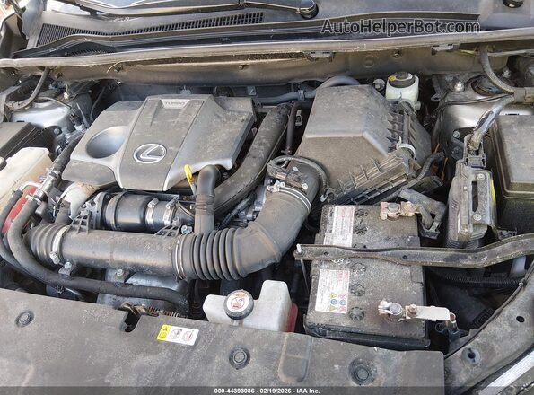 JTJDARDZ4L2231467 2020 LEXUS NX 300 Silver უკანა ხედი