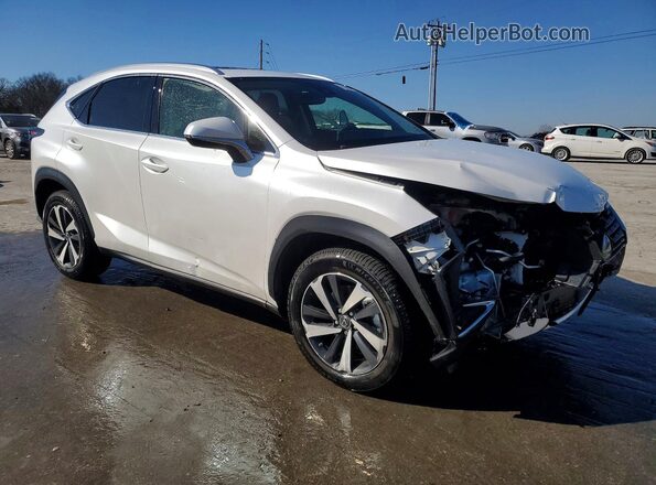 JTJGARBZ5M5032914 2021 LEXUS NX Белый Передняя правая четверть