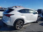 2021 Lexus Nx 300   Белый vin: JTJGARBZXM5026719