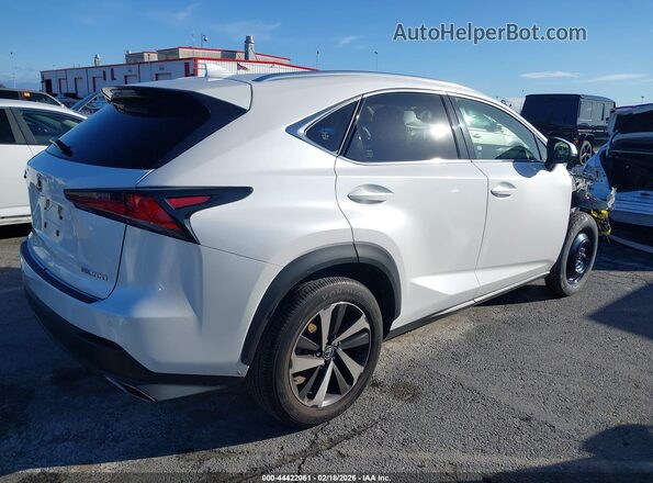 JTJGARBZXM5026719 2021 LEXUS NX 300 Белый Задняя правая четверть