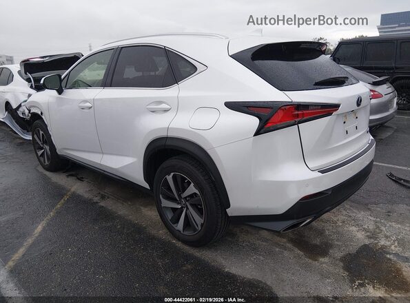 JTJGARBZXM5026719 2021 LEXUS NX 300 Белый Задняя левая четверть