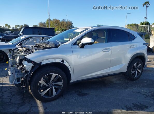 JTJGARBZXM5026719 2021 LEXUS NX 300 Белый 