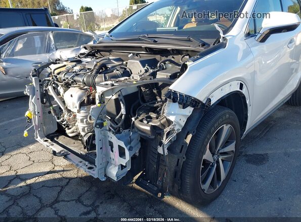 JTJGARBZXM5026719 2021 LEXUS NX 300 Белый Вид спереди