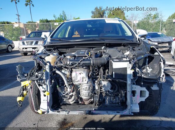 JTJGARBZXM5026719 2021 LEXUS NX 300 Белый Вид задней части салона