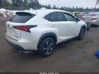2020 Lexus Nx 300   Белый vin: JTJGARDZ0L5003042
