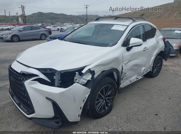 JTJGKCEZ0P2015191 2023 LEXUS NX 350H Белый Вид спереди