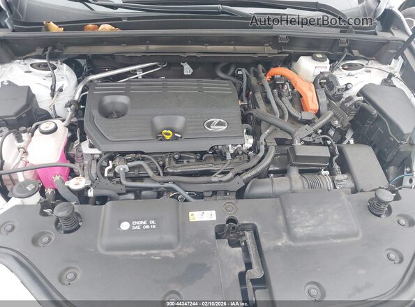 JTJGKCEZ0P2015191 2023 LEXUS NX 350H Белый Вид сзади