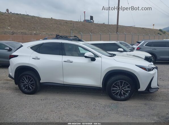 JTJGKCEZ0P2015191 2023 LEXUS NX 350H Белый Панорамный вид салона 360°