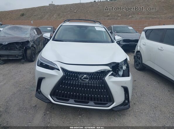 JTJGKCEZ0P2015191 2023 LEXUS NX 350H Белый Вид задней части салона