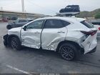 2023 Lexus Nx 350h Premium Белый vin: JTJGKCEZ0P2015191