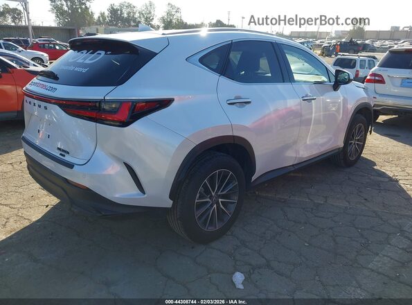 JTJGKCEZ4S5032941 2025 LEXUS NX 350H Белый Задняя правая четверть