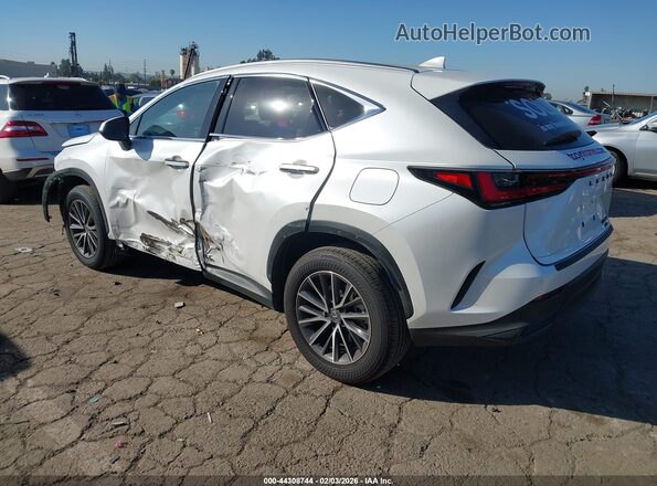 JTJGKCEZ4S5032941 2025 LEXUS NX 350H Белый Задняя левая четверть