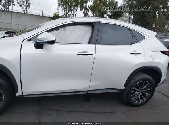 JTJGKCEZ5P2011315 2023 LEXUS NX 350H Белый Вид задней части салона