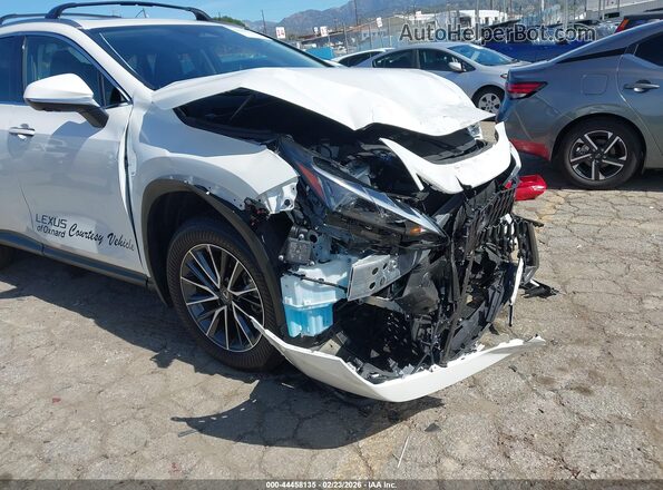 JTJGKCEZ5S2065240 2025 LEXUS NX 350H Белый 