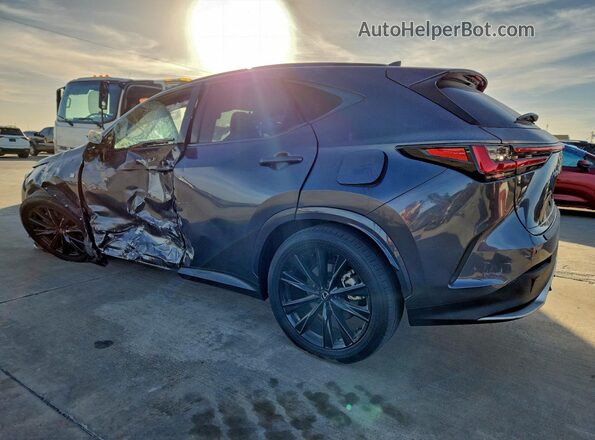 JTJKKCFZXR2034388 2024 LEXUS NX Gray Tył lewy