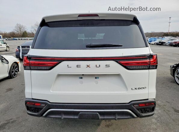 JTJMB7CX5R4065541 2024 LEXUS LX Белый Вид сзади