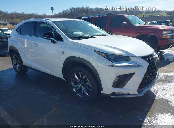 JTJSARBZ2L5008644 2020 LEXUS NX 300 White წინა მარჯვენა