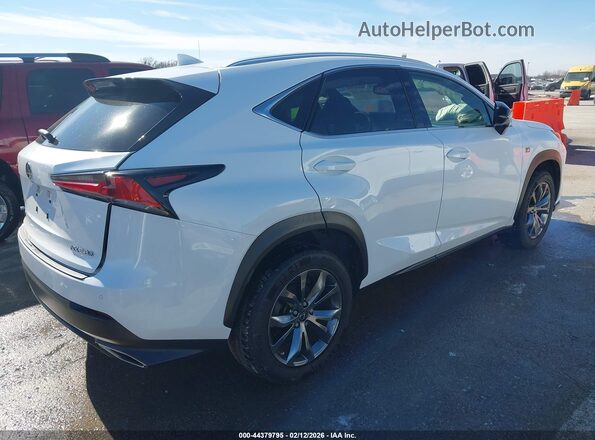 JTJSARBZ2L5008644 2020 LEXUS NX 300 White უკანა მარჯვენა