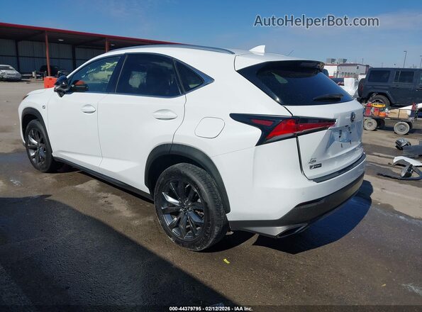 JTJSARBZ2L5008644 2020 LEXUS NX 300 White უკანა მარცხენა