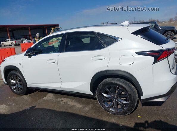 JTJSARBZ2L5008644 2020 LEXUS NX 300 White სალონის 360-გრადუსიანი ხედი