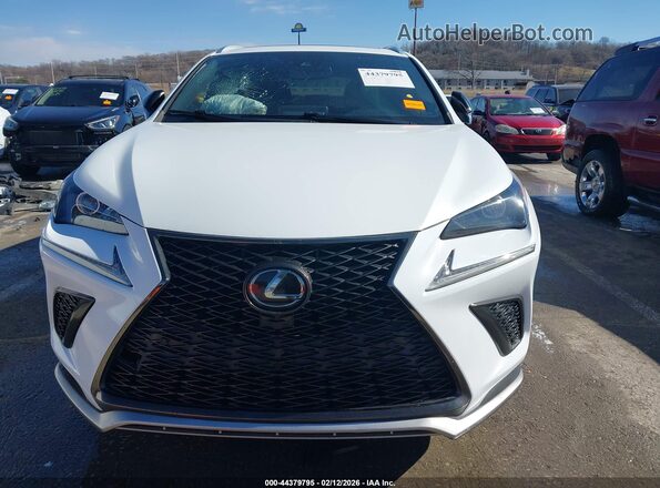 JTJSARBZ2L5008644 2020 LEXUS NX 300 White ხელსაწყოთა პანელის ხედი