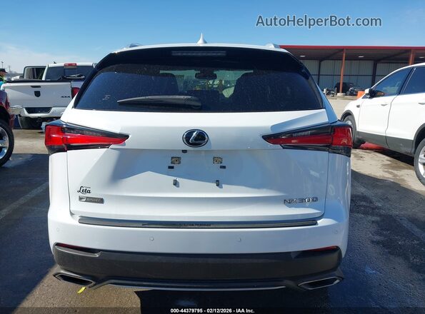 JTJSARBZ2L5008644 2020 LEXUS NX 300 White 