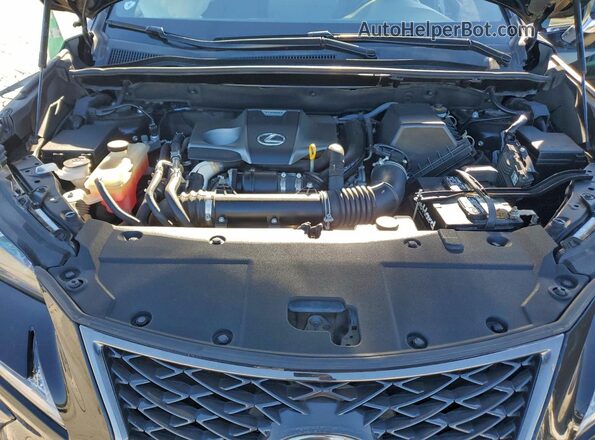 JTJSARBZXL5003756 2020 LEXUS NX Черный Вид задней части салона