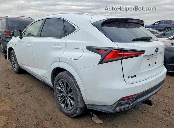 JTJSJRDZ4M5011592 2021 LEXUS NX Белый Задняя левая четверть