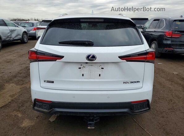 JTJSJRDZ4M5011592 2021 LEXUS NX Белый Вид сзади