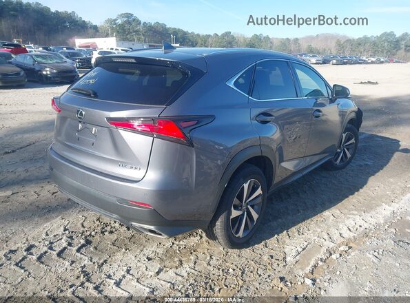 JTJYARBZ0K2146368 2019 LEXUS NX 300 Серый Задняя правая четверть