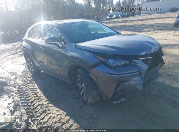 JTJYARBZ0K2146368 2019 LEXUS NX 300 Серый Передняя правая четверть