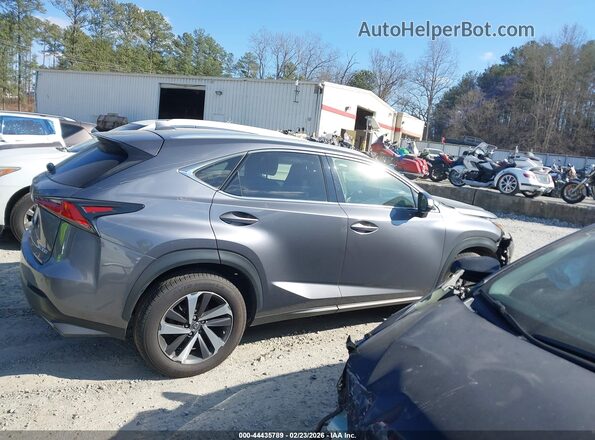 JTJYARBZ0K2146368 2019 LEXUS NX 300 Серый Вид задней части салона