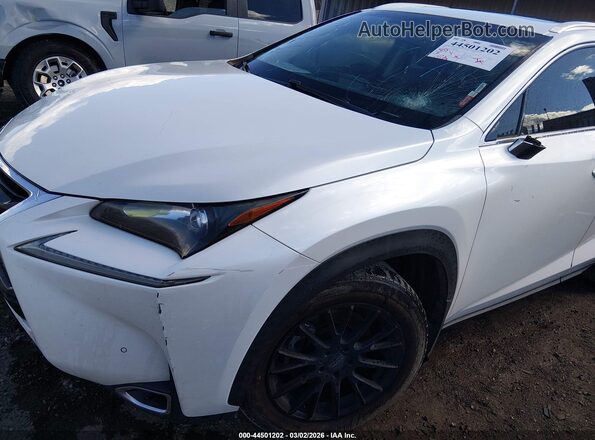 JTJYARBZ8H2065384 2017 LEXUS NX Белый Вид спереди