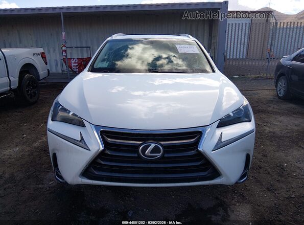 JTJYARBZ8H2065384 2017 LEXUS NX Белый Вид задней части салона