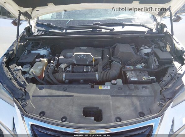 JTJYARBZ8H2065384 2017 LEXUS NX Белый Вид сзади