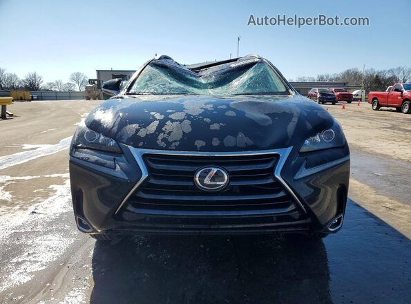 JTJYARBZ9G2024910 2016 LEXUS NX Черный Вид спереди