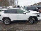 2019 Toyota Rav4 Xle Premium White vin: JTMA1RFV4KD018148