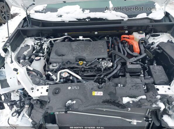JTMAB3FV0SD253530 2025 TOYOTA RAV4 PLUG-IN HYBRID Белый Вид сзади
