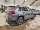 2025 Toyota Rav4 Se Серый vin: JTMAB3FV6SD236554